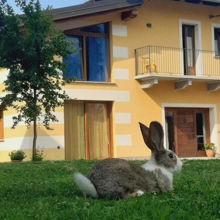 Agriturismo Fior Di Campo Dronero Exteriér fotografie