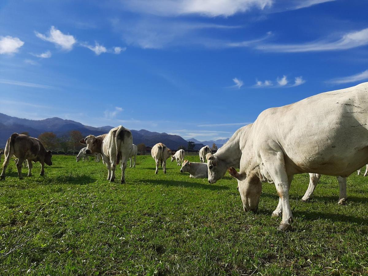 Agriturismo Fior Di Campo Dronero Exteriér fotografie